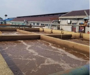 出水氨氮大于進水氨氮，怎么回事？