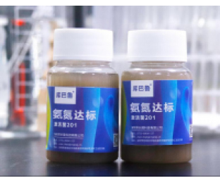 生化系統崩潰，氨氮超標，我該怎么辦?